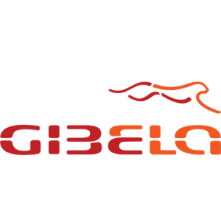 Gibela Transport Rail: Graduate Internships Program 2022