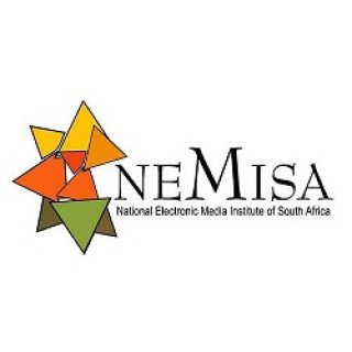 NEMISA: Internships Program 2022