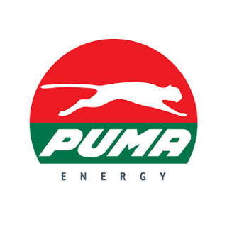 Puma Energy: Internships Program 2022