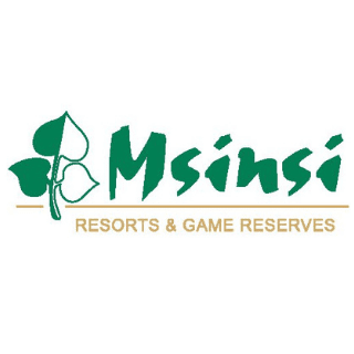 Msinsi Holdings: Internship Program 2022